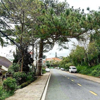 Nhân - Bds Ngộp, Hàng Hiếm, Dòng Tiền Đều, Ngay Trung Tâm Tp Đà Lạt