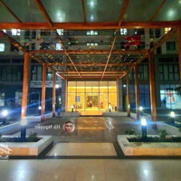 Bán Căn Hộ Chung Cư Tại 987 Tam Trinh, 50M2, 2 Phòng Ngủ 3.2 Tỷ