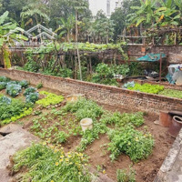 Tài Chính Nhỏ 2,3 Tỷ. Thôn Đoài, Việt Hùng, Cách Thị Trấn 1Km. 44M2.