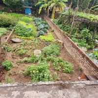 Tài Chính Nhỏ 2,3 Tỷ. Thôn Đoài, Việt Hùng, Cách Thị Trấn 1Km. 44M2.