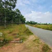 Bán Đất Vườn Cao Su Hòa Bình Xuyên Mộc 25.400M2 Giá Chỉ 7,5 Tỷ