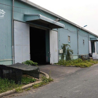 Cho Thuê Kho Xưởng Quận 7Diện Tích500M2 Đường Đào Trí Có Bảo Vệ