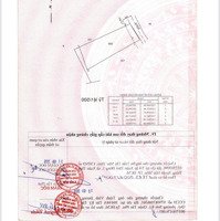 Đất Đẹp - Giá Tốt - Bán Gấp Lô Đất Tiềm Năng Tại Xã Xuân Thới Đông, Hóc Môn