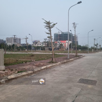 Mở Bán Đất Nền Tháng 5 - Khu Đấu Giá Bạch Đa - 100M2 - Sổ Hồng - Giá Đầu Tư - Liên Hệ: 0968.781.070