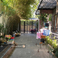 Hot! Nhà Vườn 248M Đẹp Như Mơ Shr 100% Thổ Cư Gần Cây Xăng 26 Chỉ Nhỉnh 7 Tỷ Tl!