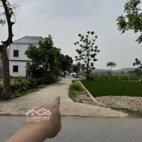 Bán Đất 99M2 Tại Xã Quang Tiến, Sóc Sơn, Hà Nội, Giá Siêu Hời 2,5Tỷ