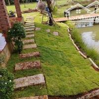 Cần bán lỗ khu vườn tuyệt đẹp ngay khu dân, có suối chảy bao quanh đất
