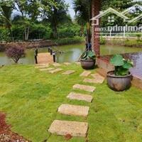 Cần bán lỗ khu vườn tuyệt đẹp ngay khu dân, có suối chảy bao quanh đất