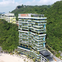 Cắt Lỗ Căn Hộ 5* Flamingo Cát Bà View Biển Tuyệt Đẹp Giá Tốt Nhất Thị Trường!