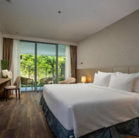 Cắt Lỗ Căn Hộ 5* Flamingo Cát Bà View Biển Tuyệt Đẹp Giá Tốt Nhất Thị Trường!
