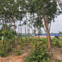 Bán Đất 14500M2 Skc Tại Vĩnh Tân, Tân Uyên, Bình Dương