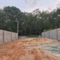 Bán Đất 14500M2 Skc Tại Vĩnh Tân, Tân Uyên, Bình Dương