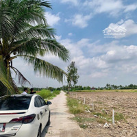 Đất Nền Thổ Cư Giá F0 Khu Vực Đang Phát Triển Thích Hợp Đầu Tư , Làm Nhà Vườn