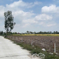 Đất Nền Thổ Cư Giá F0 Khu Vực Đang Phát Triển Thích Hợp Đầu Tư , Làm Nhà Vườn