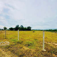 Em Cần Bán Lô Đấtdiện Tích2749,3M2 Đất Lúa. Em Bao Lên 1000M2 Đất Ở - Quy Hoạch Full Thổ Cư