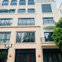 Chủ Nhà Cắt Lỗ Phân Khu Hải Âu Giá Lợn Chết
- Diện Tích 78M
- Mặt Tiền 6M Thiết Kế Thoải Mái Theo