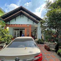 Bán Biệt Thự Mái Thái Đẳng Cấp Giới Tinh Hoa, Trung Tâm Dĩ An, Lô Góc