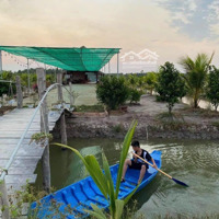 Bán Đất Sổ Hồng Riêng 1000M2 Giá Bán 700 Triệu Tại Nhơn Trạch, Tỉnh Đồng Nai