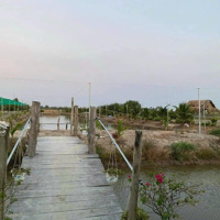 Bán Đất Sổ Hồng Riêng 1000M2 Giá Bán 700 Triệu Tại Nhơn Trạch, Tỉnh Đồng Nai