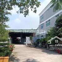 Kho Xưởng Cho Thuê Đông Hưng Thuận 10 Quận 12, Diện Tích 15,000M2