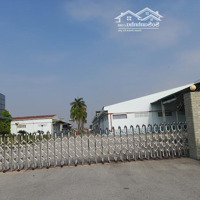 Kho Xưởng Cho Thuê Đông Hưng Thuận 10 Quận 12, Diện Tích 15,000M2