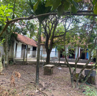 Bán 650M2 Đất Hưng Công, Bình Lục, Hà Nam