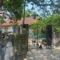 Bán 650M2 Đất Hưng Công, Bình Lục, Hà Nam