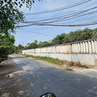 Cần Đất Chính Chủ Tại Nguyễn Thị Định, Phú Hưng, Bến Tre, Giá Ưu Đãi 135M2/ 450 Triệu. Shr