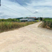 Đất Nghỉ Dưỡng Ven Đà Lạt Giá Ngộp