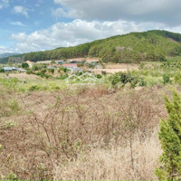 Đất Nghỉ Dưỡng Ven Đà Lạt Giá Ngộp