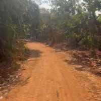 Bán 2.2 Ha Đất Tân Phước, Huyện Đồng Phú