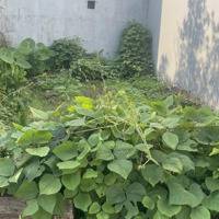 Thanh Khoản Nhanh Lô Đất 54/M2 Tại Quang Minh Mê Linh Hà Nội. Giá Đầu Tư Được