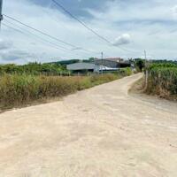 ĐẤT NGHỈ DƯỠNG ĐÀ LẠT VIEW ĐỒI THÔNG GIÁ NGỘP
