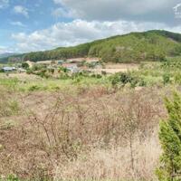 ĐẤT NGHỈ DƯỠNG ĐÀ LẠT VIEW ĐỒI THÔNG GIÁ NGỘP