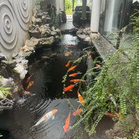 Chị Cần Bán Căn Nhà Mặt Tiền Đỗ Quang Trung Tâm Phố Đà Nẵng.
