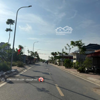 Mặt Đường Thượng Đức, Minh Đức, Đồ Sơn - Tổng 210M2