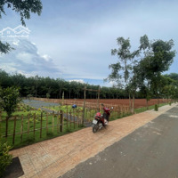 Bán Gấp Đất Tại Xã Phước An, 680 Triệu, 230M2, Pháp Lý Đầy Đủ, Ngõ 12M