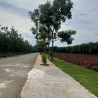 Bán Gấp Đất Tại Xã Phước An, 680 Triệu, 230M2, Pháp Lý Đầy Đủ, Ngõ 12M