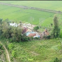 Bán Đất 291M2 Tại Xã Bình An, Thăng Bình, Quảng Nam, 230 Triệu Vnd, Chính Chủ Hot