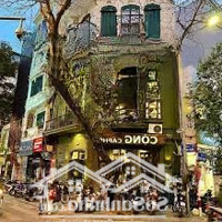 Cho Thuê Nhà Mặt Phố Nhà Thờ - Hoàn Kiếm, 50M2X5 Tầng,Mặt Tiền5.5M, Nhận Diện Thương Hiệu