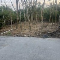 Bán Đất Xón Kim Mỹ, Xã Nghi Ân