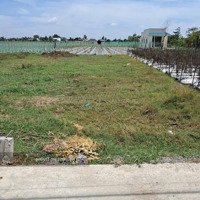 Tôi Chính Chủ Cần Bán Lô Đất Gò Hươu, Mỹ Thạnh Nam Long An Diện Tích 5X30M2/150M2 Giá Bán 690 Triệu Shr