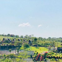 Ra Gấp 125M2 Đất Sát Hồ Bảo Lộc Kế Dãy Homestay Đang Kinh Doanh Chỉ 899 Triệu