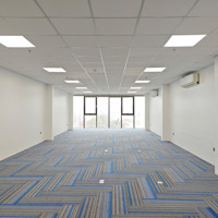 Chính Chủ Cần Cho Thuê Sàn Văn Phòng 260M2 Mặt Phố Trần Hoà, Ngay Gần Vũ Tông Phan Giá Mềm