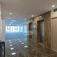 Chính Chủ Cần Cho Thuê Sàn Văn Phòng 260M2 Mặt Phố Trần Hoà, Ngay Gần Vũ Tông Phan Giá Mềm
