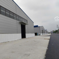 Cho Thuê Kho Xưởng Khung Zami Chắc Chắn Diện Tích 10.000M Vuông Có Đầy Đủ Phòng Cháy Chữa Cháy Mới