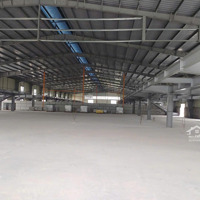 Cho Thuê Kho Xưởng Khung Zami Chắc Chắn Diện Tích 10.000M Vuông Có Đầy Đủ Phòng Cháy Chữa Cháy Mới