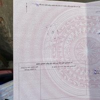 Đất Trâu Quỳ, Mgia Lâm Mặt Tiền Khủng,Ô Tô 7 Chỗ Thông Ô Bàn Cờ,Cạnh Trường Nông Nghiệp,Kinh Doanh