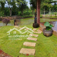Cần Bán Lỗ Khu Vườn Tuyệt Đẹp Ngay Khu Dân, Có Suối Chảy Bao Quanh Đất