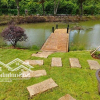 Cần Bán Lỗ Khu Vườn Tuyệt Đẹp Ngay Khu Dân, Có Suối Chảy Bao Quanh Đất